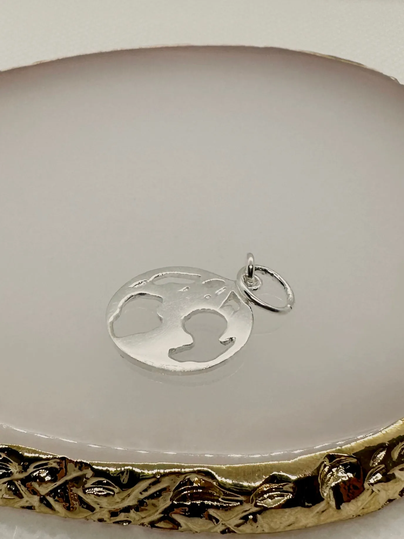 Globe Charm